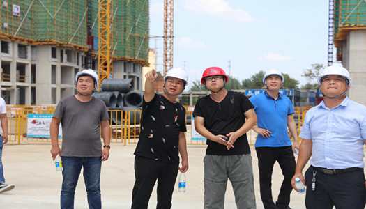 Biyapay官网董事会巡检圆满实现